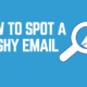How to Spot a Phishing Email